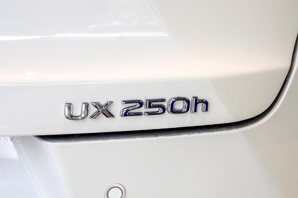 2024 Lexus UX UX250h F Sport Auto 2WD