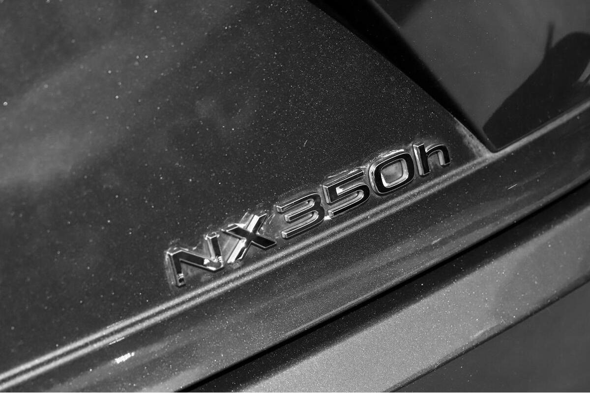 2023 Lexus NX NX350h Sports Luxury Auto 2WD