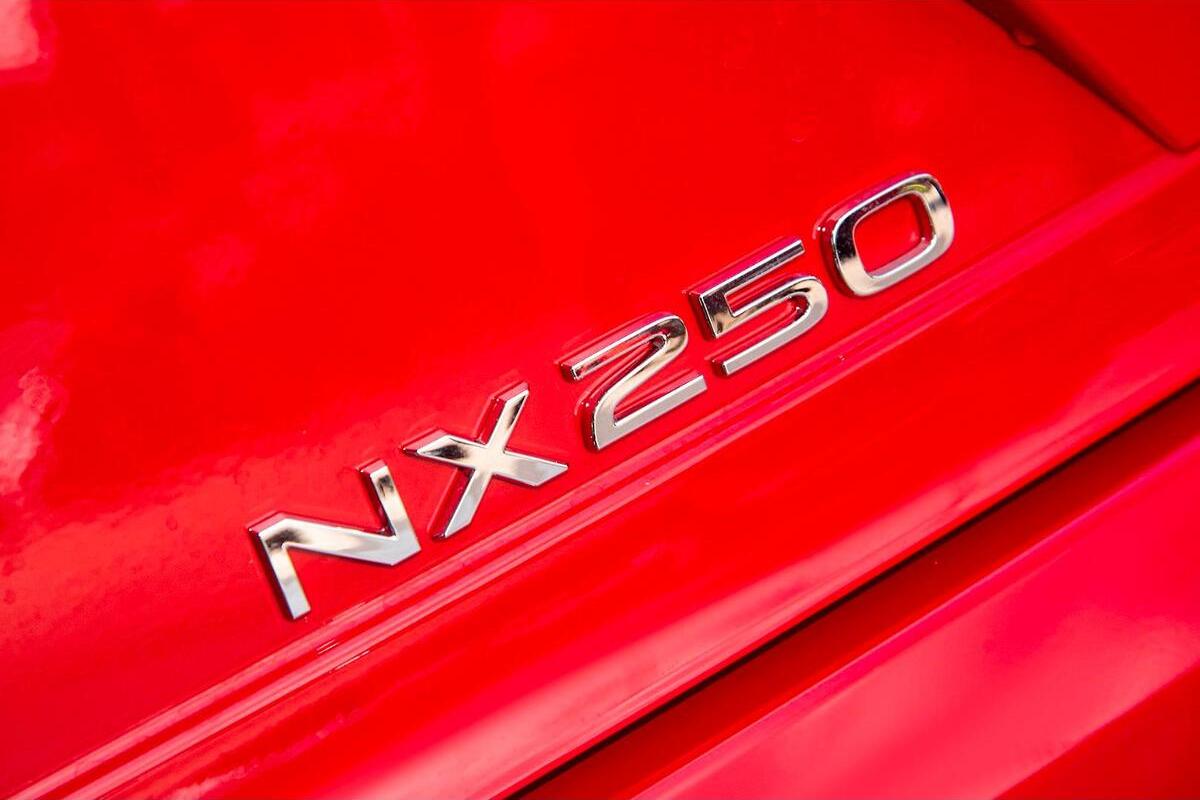 2024 Lexus NX NX250 Auto 2WD