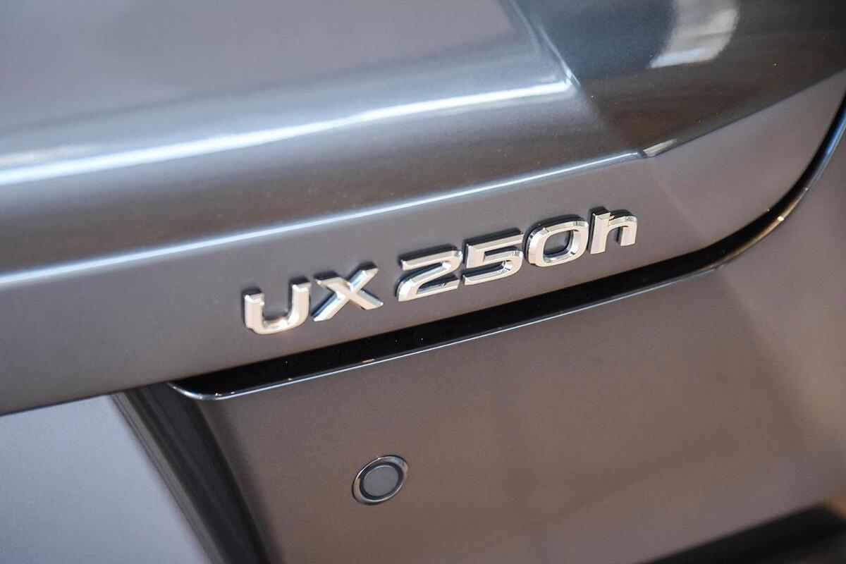 2023 Lexus UX UX250h Luxury Auto 2WD