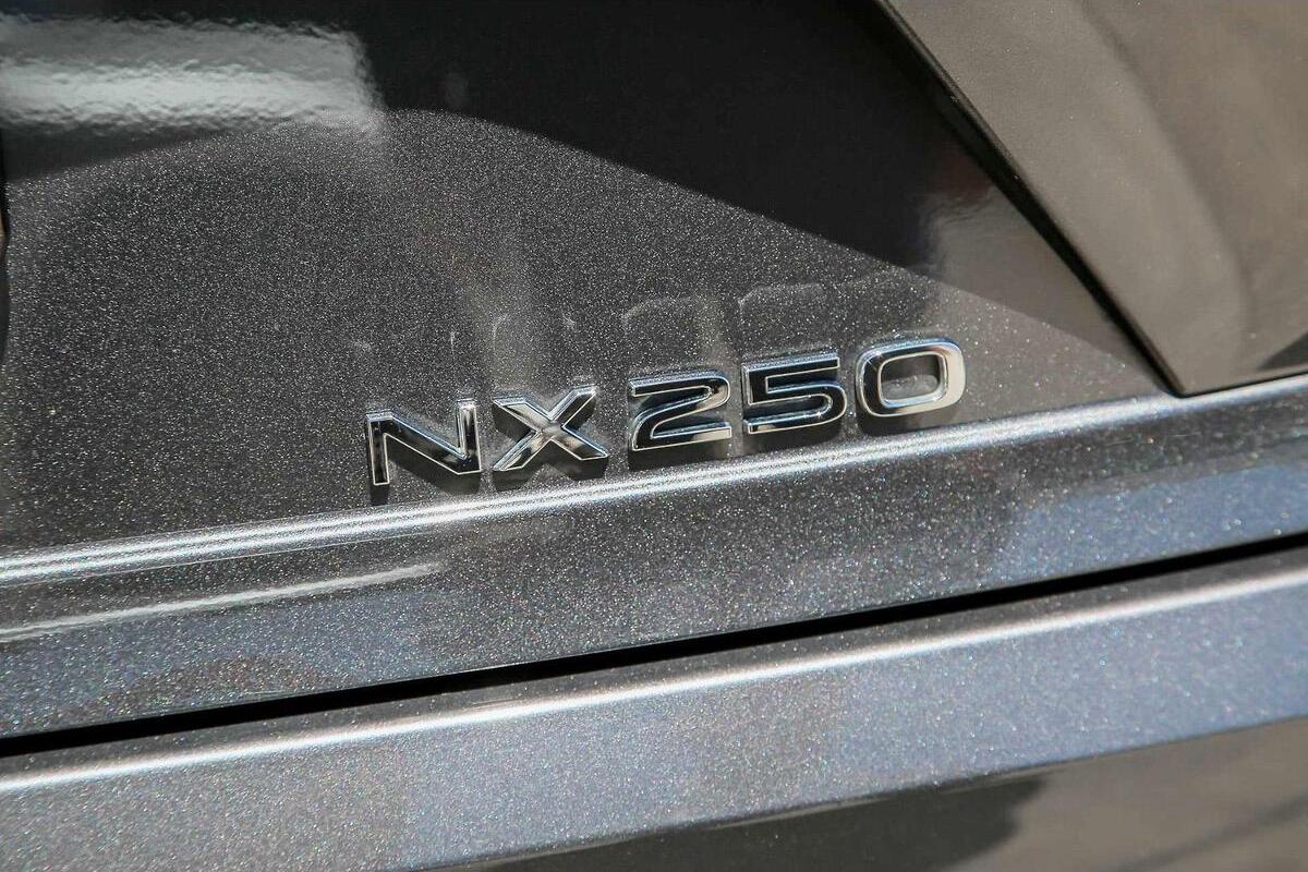 2024 Lexus NX NX250 Auto 2WD